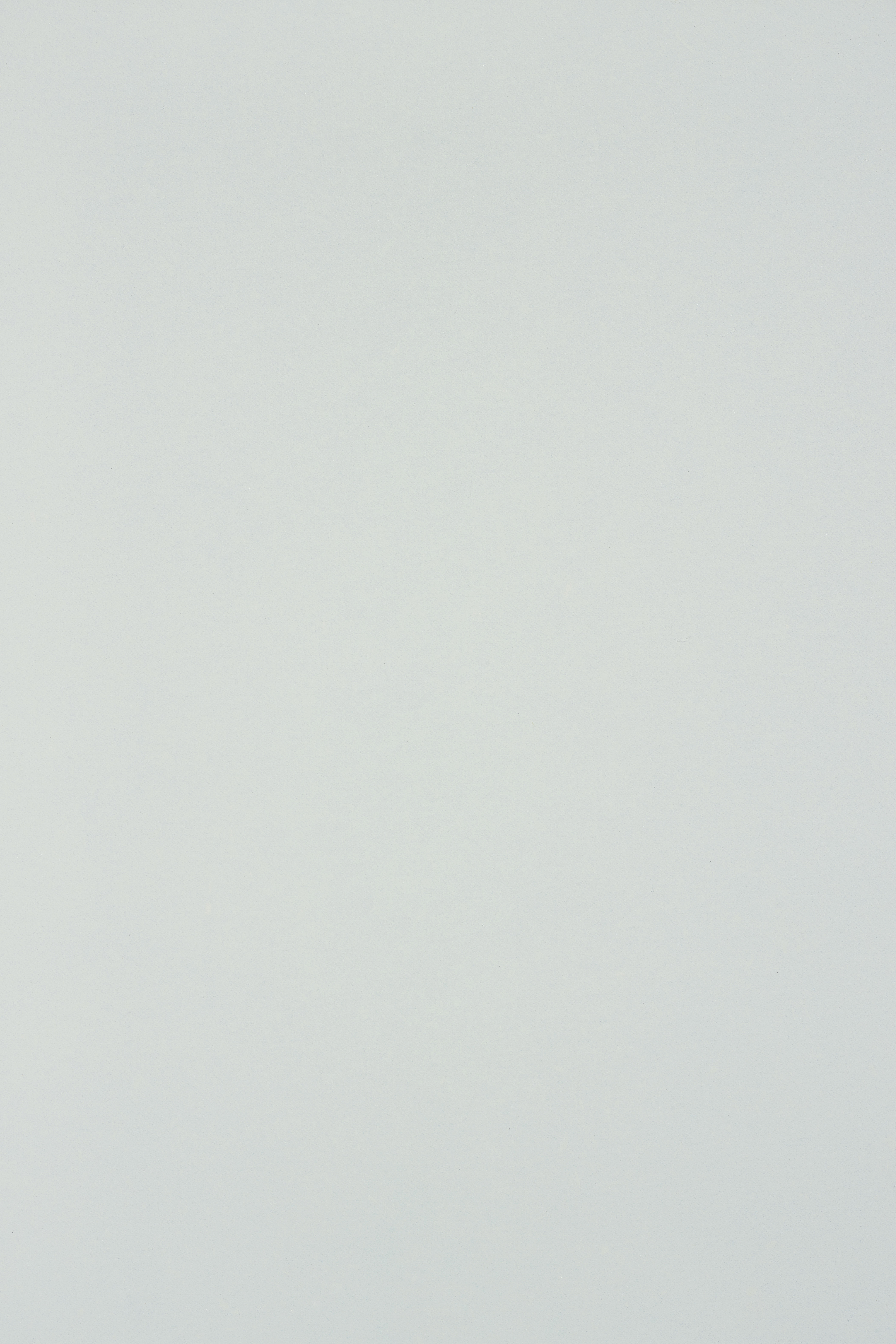 020 CST Basic White-image