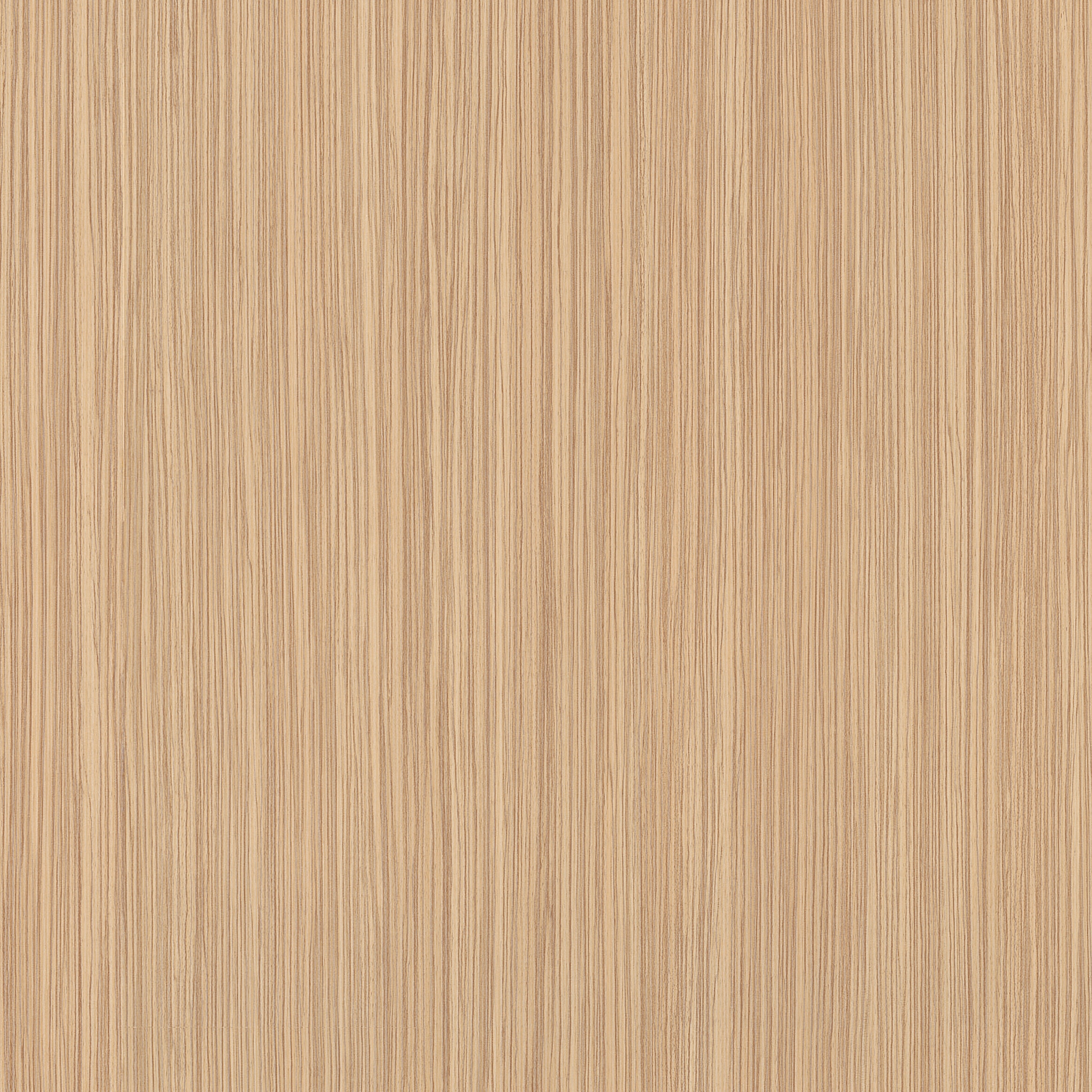 H3006 ST22 Zebrano Zand-image