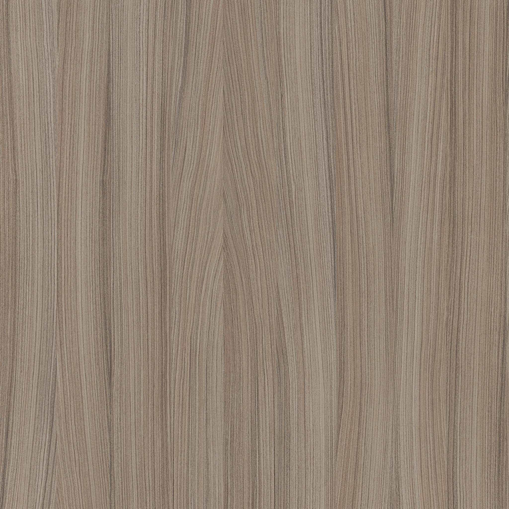 H3090 ST22 Shorewood-image