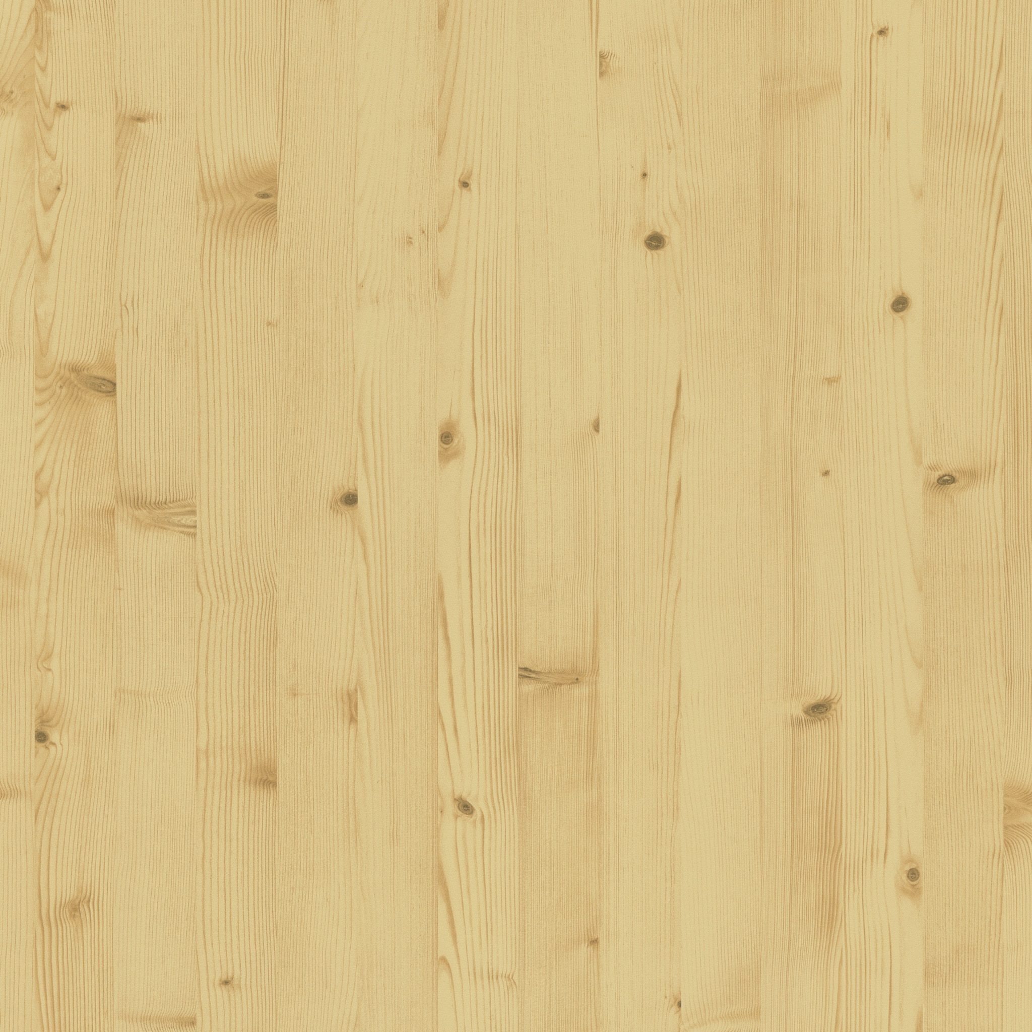 H3470 ST22 Grenen natuur-image