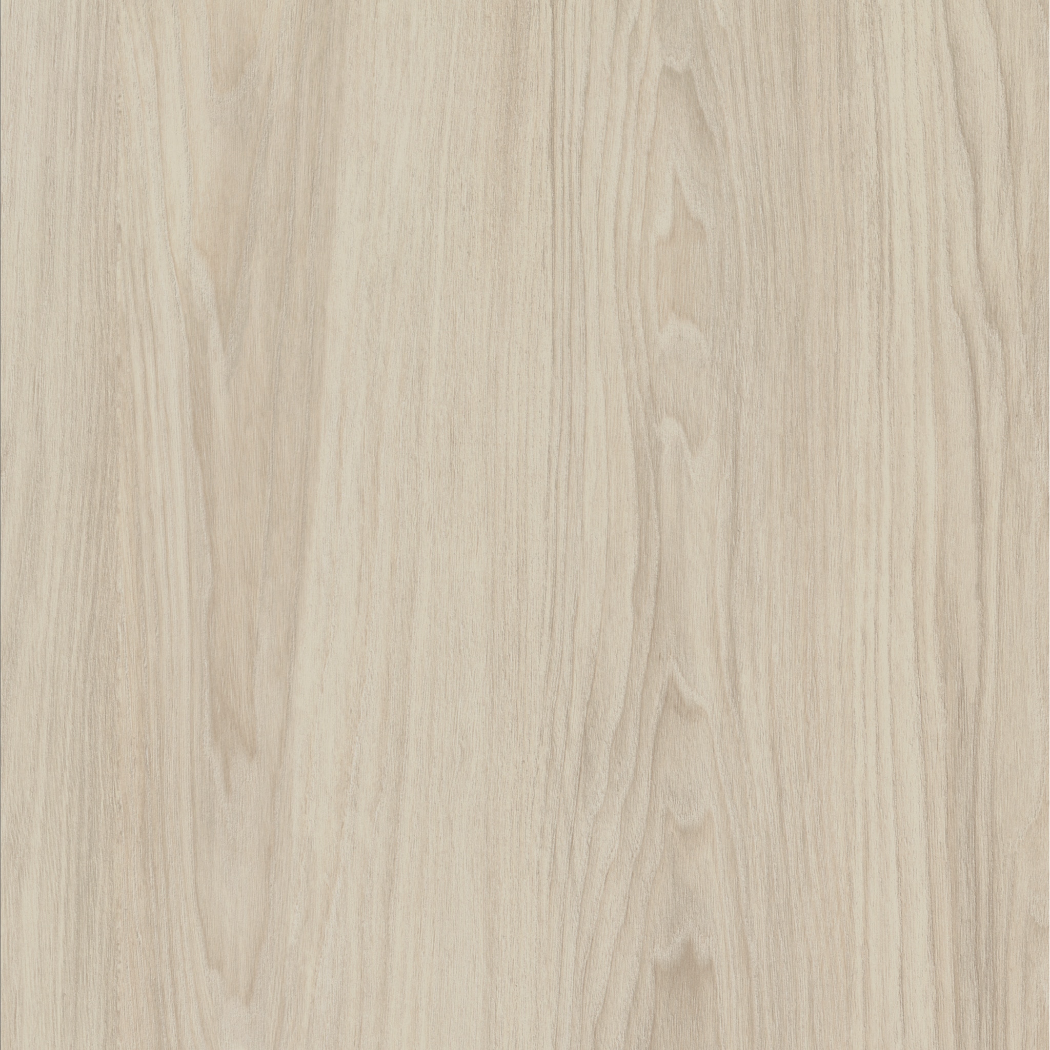 H3760 ST 29 Cape Elm Wit-image