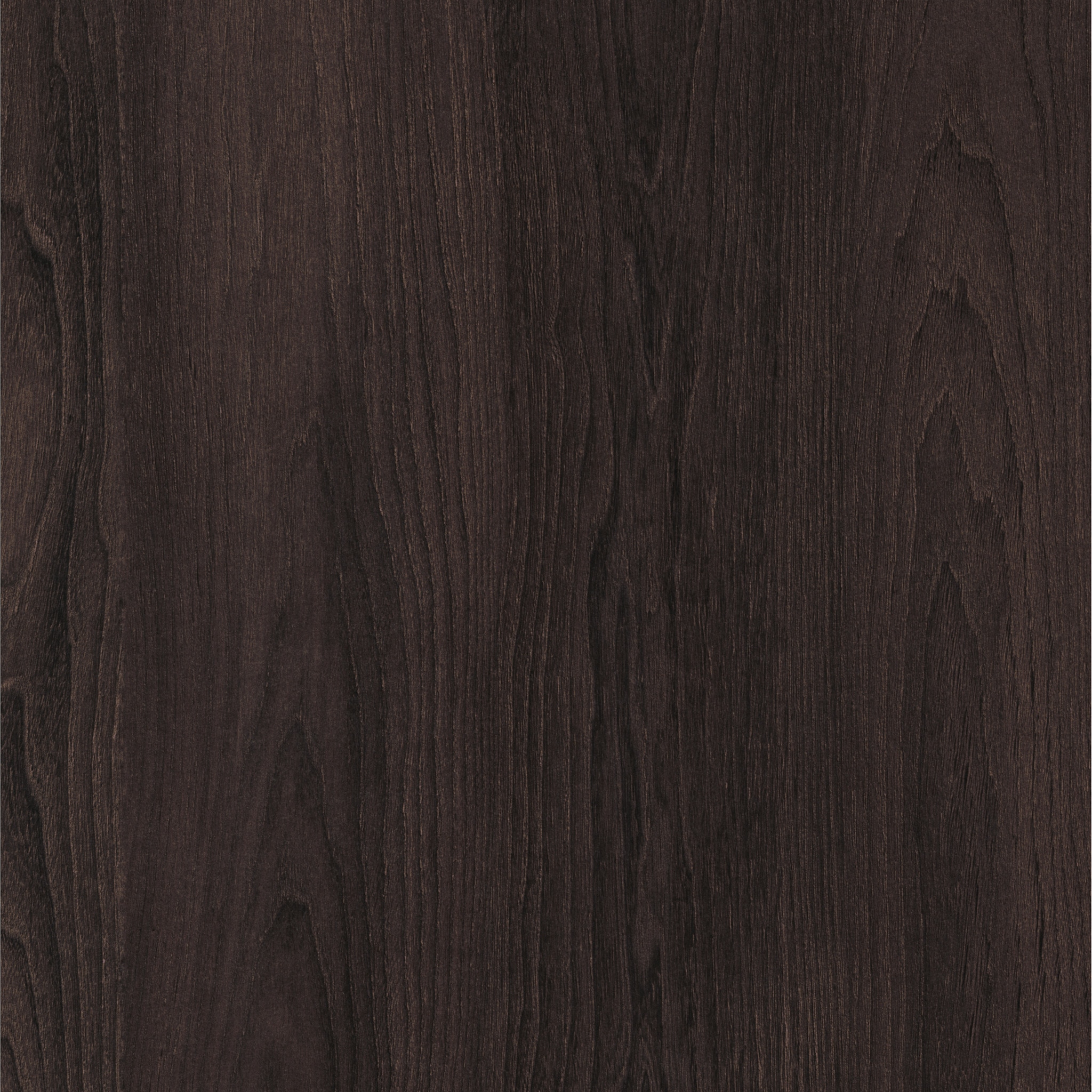 H3766 ST29 Cape Elm Bruin-image