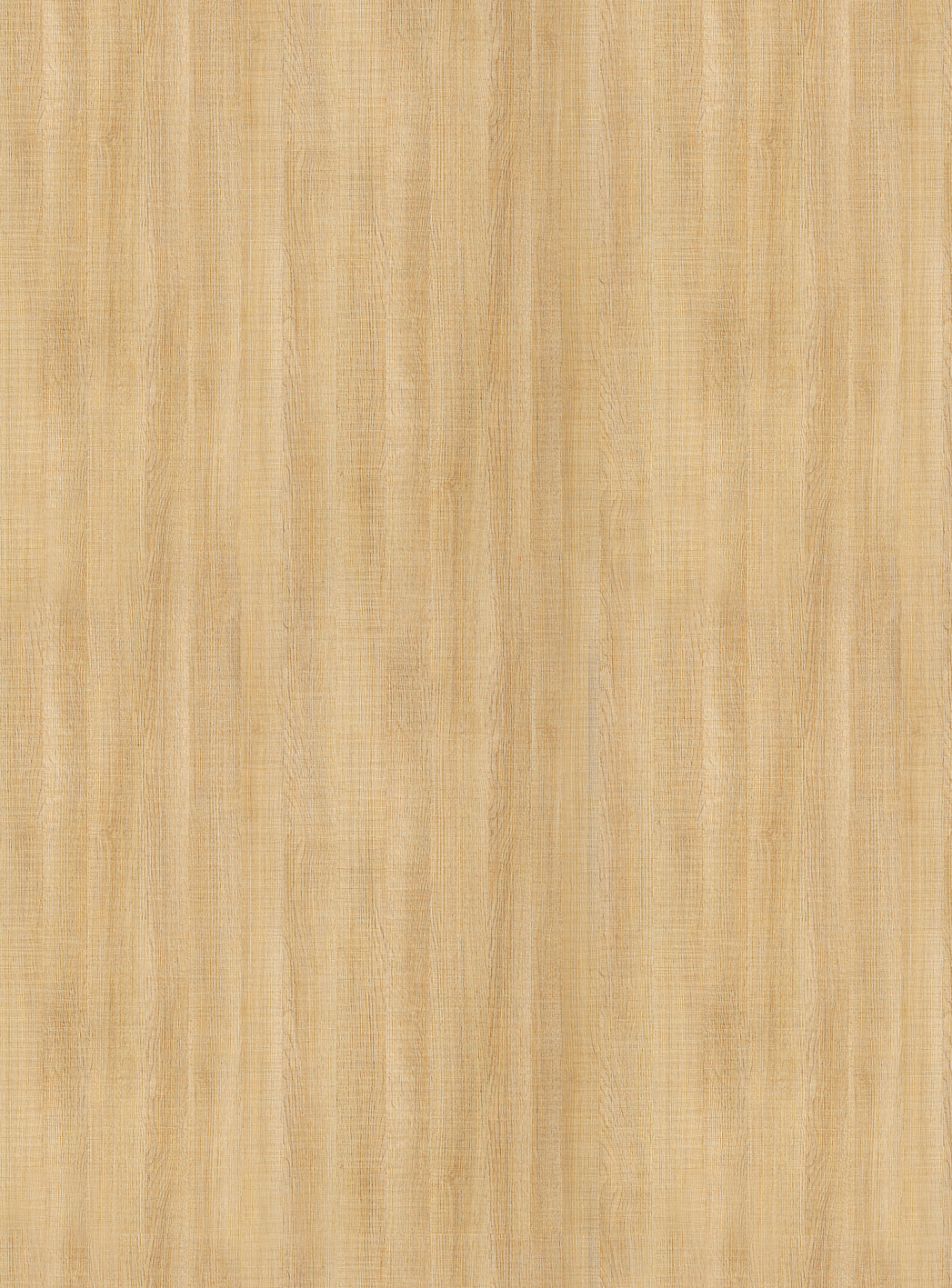 H399 W03 Canice Oak-image