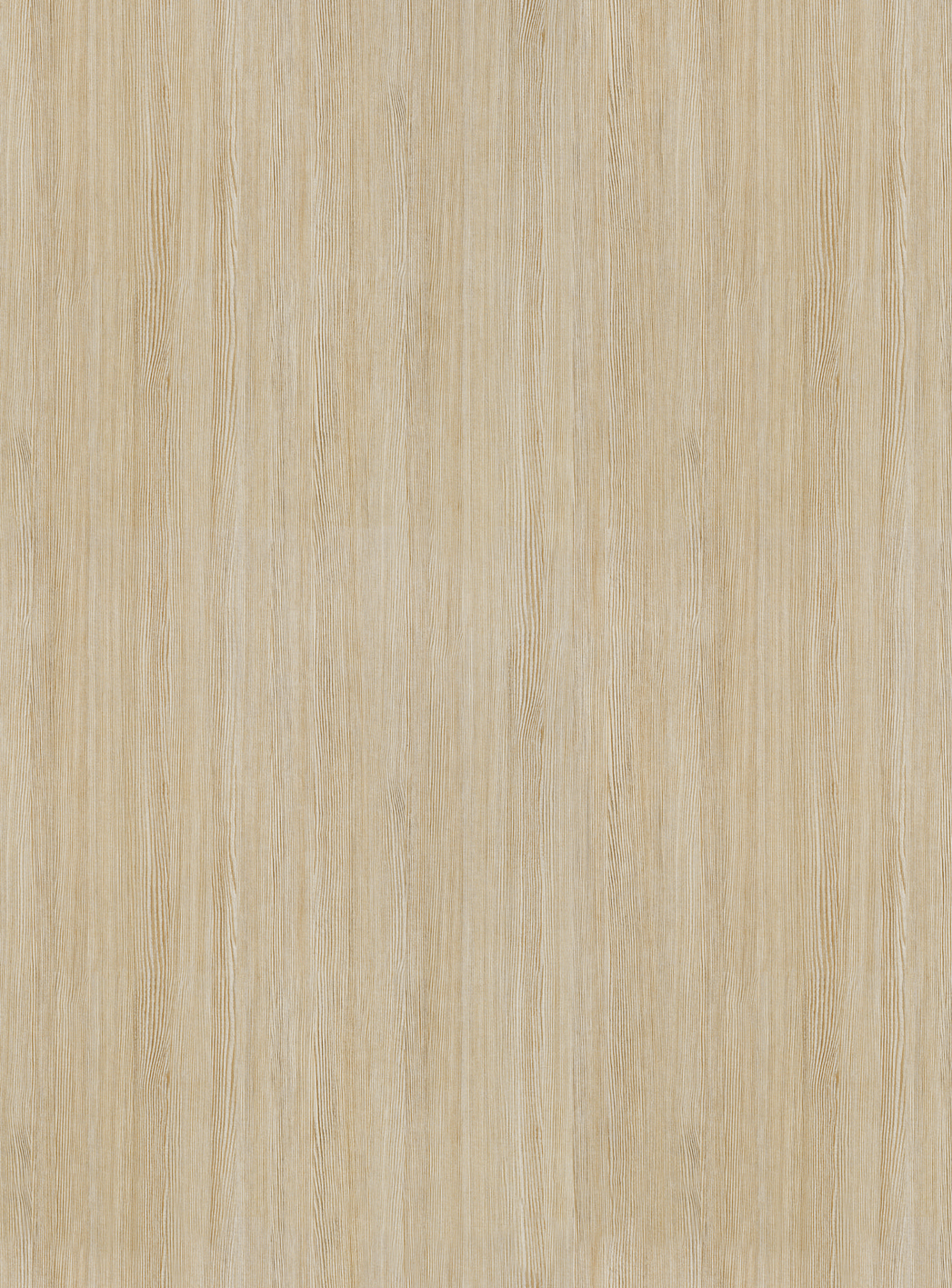 H425 W03 Rena Pine-image