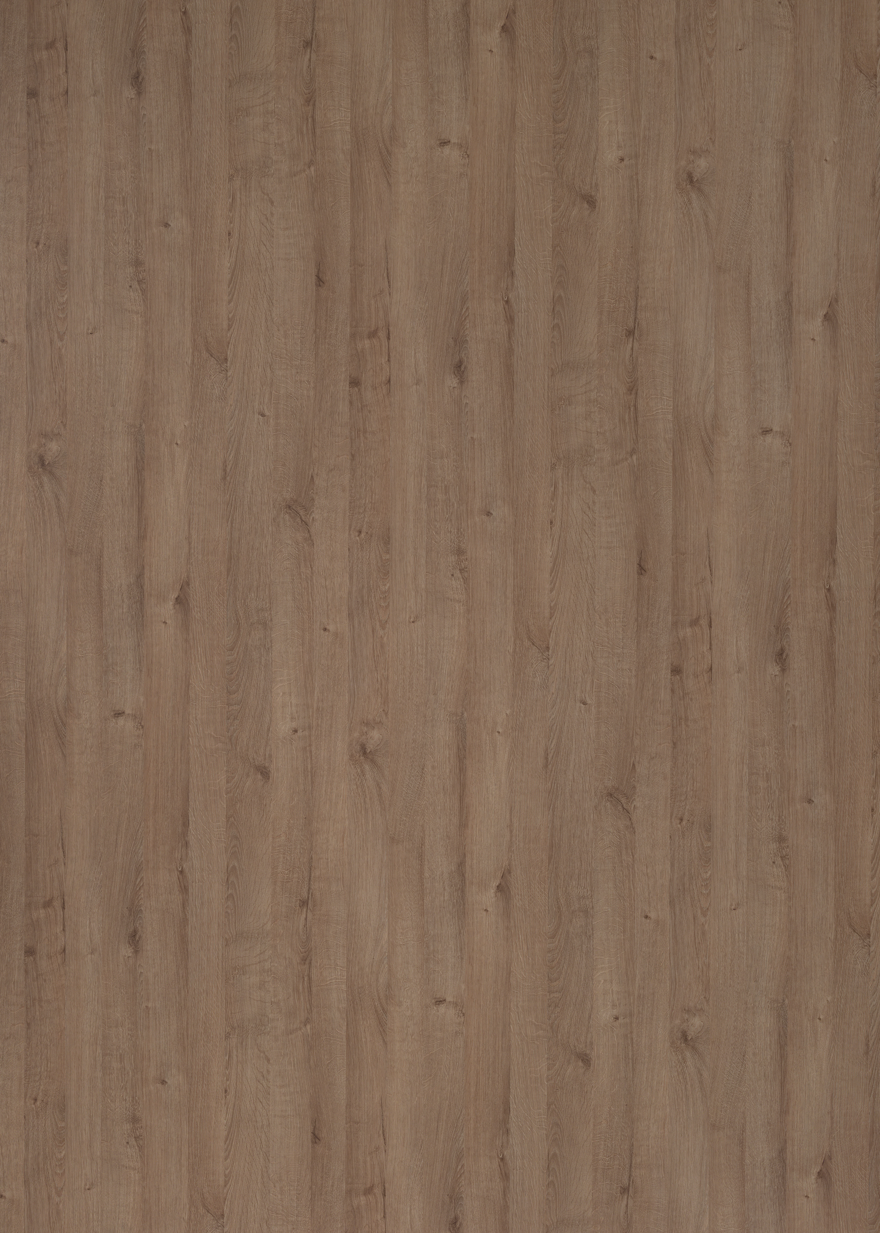 H437 V8A/V8A Royal Oak Natural-image