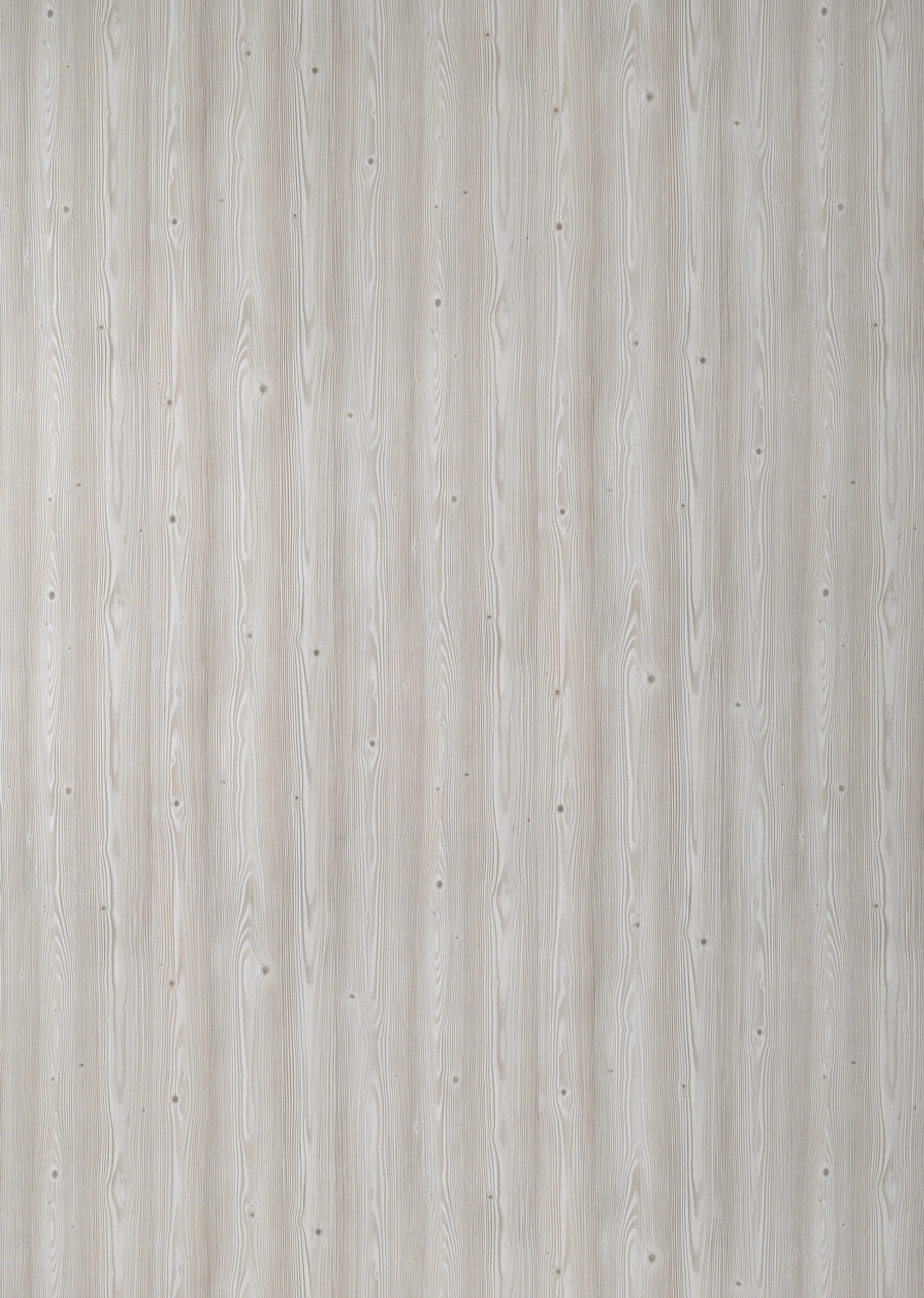 H448 W04 Nordic Pine Light Natural-image