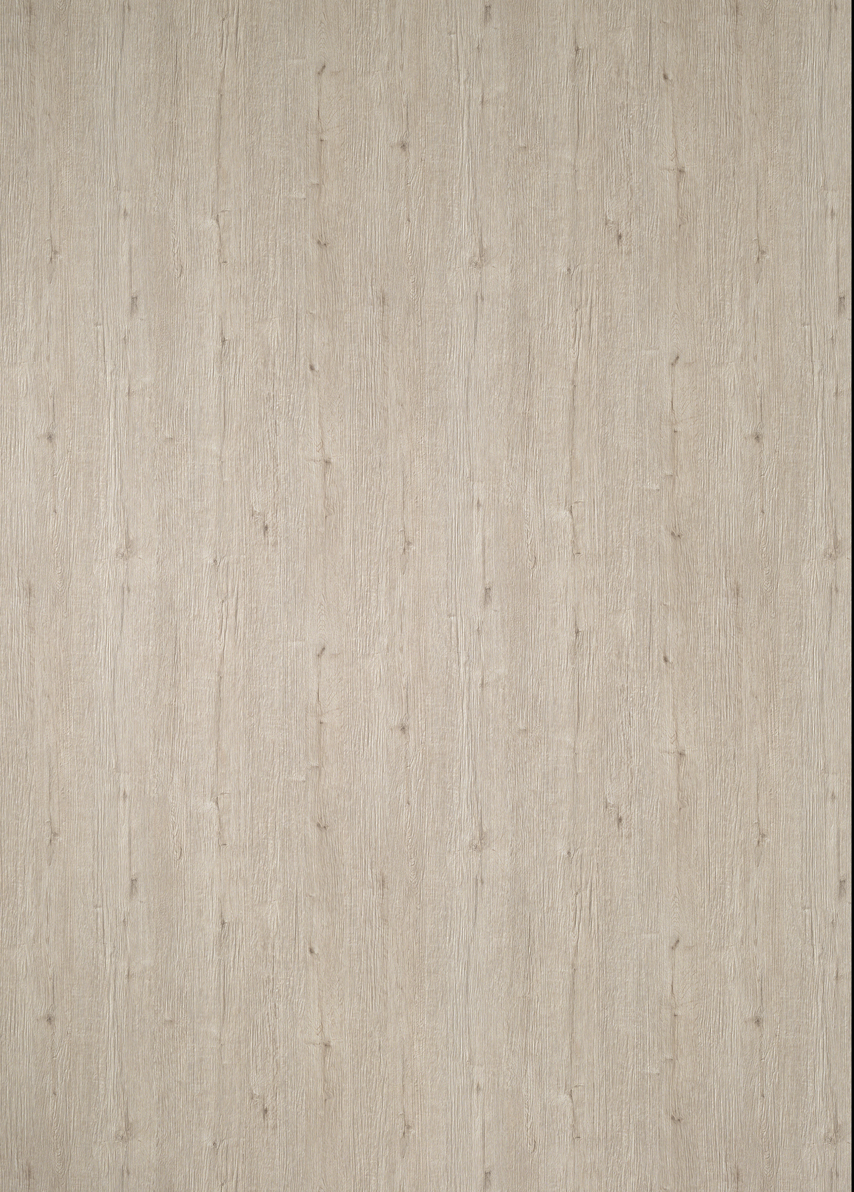 H451 W04 Emilia Oak Natural-image