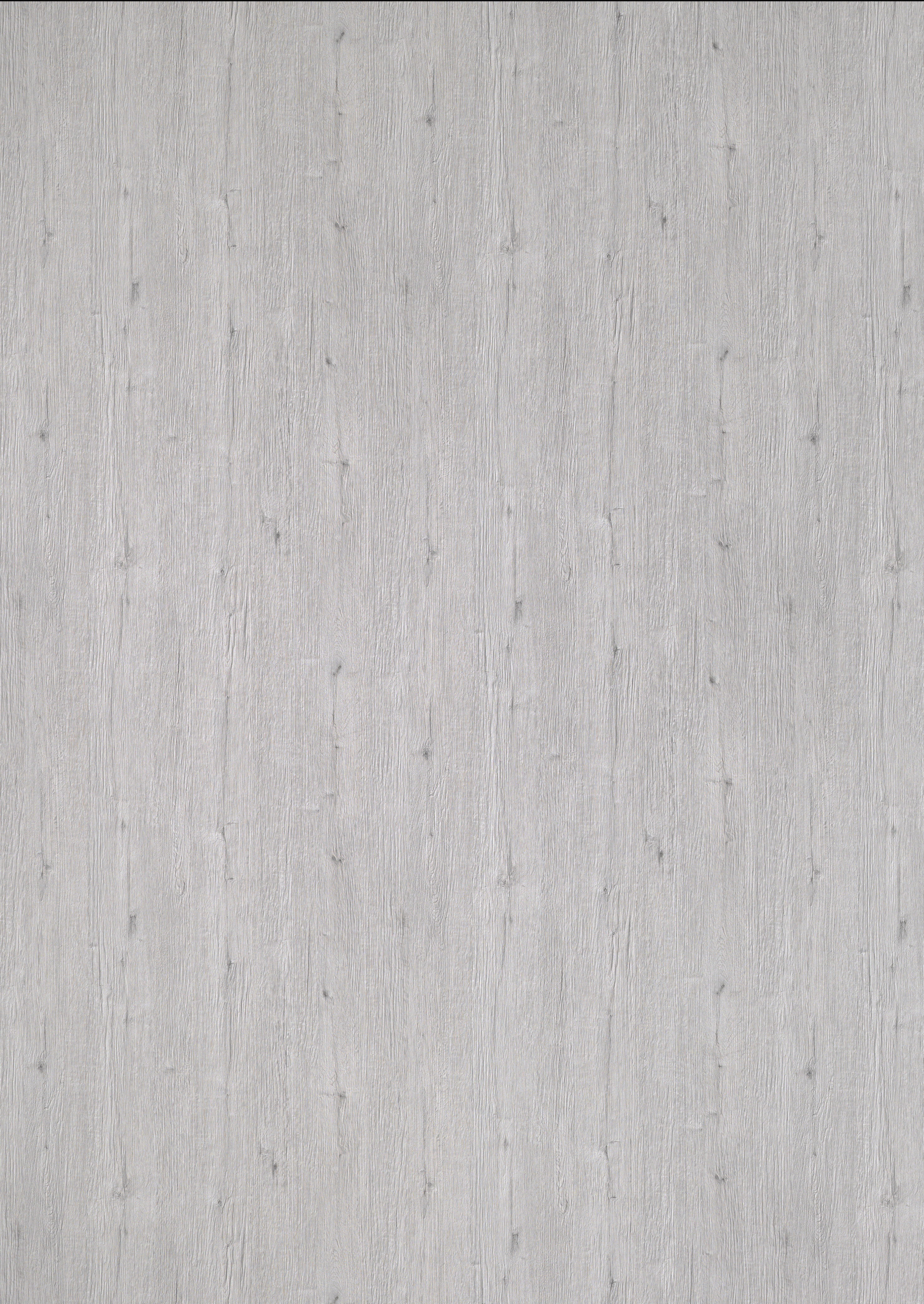H452 W04 Emila Oak light Grey-image
