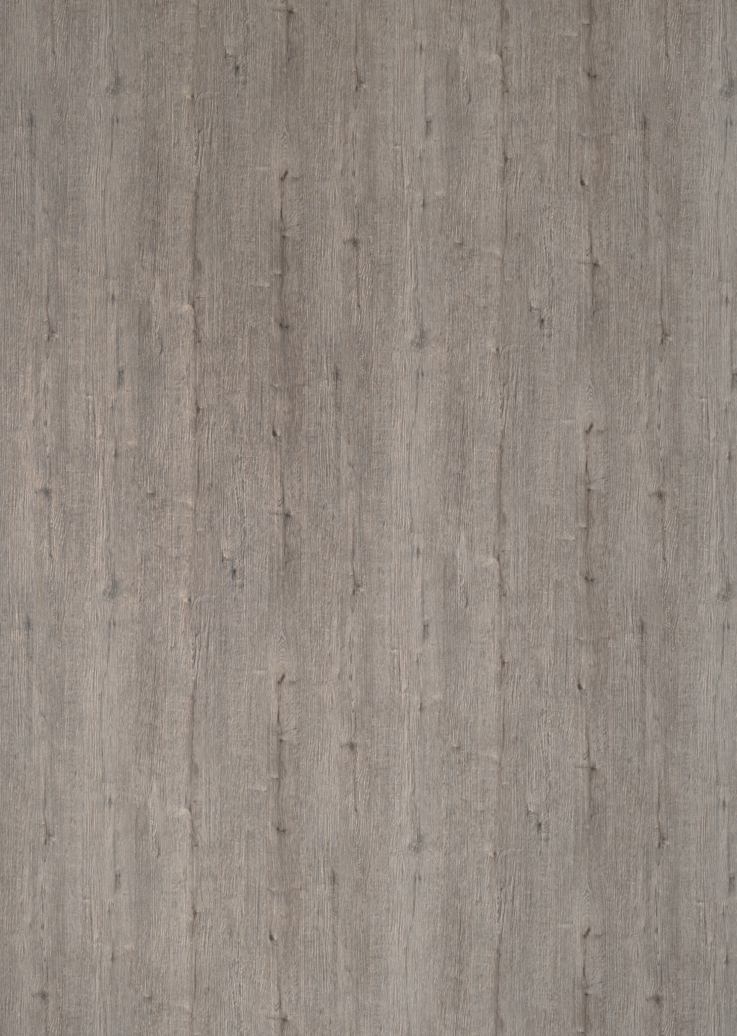 H453 W04/W04 Emilia Oak Dark grey-image