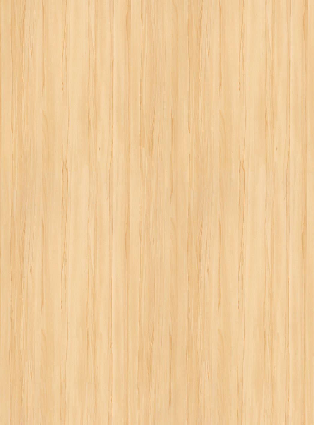 H534 BST Odessa Beech-image