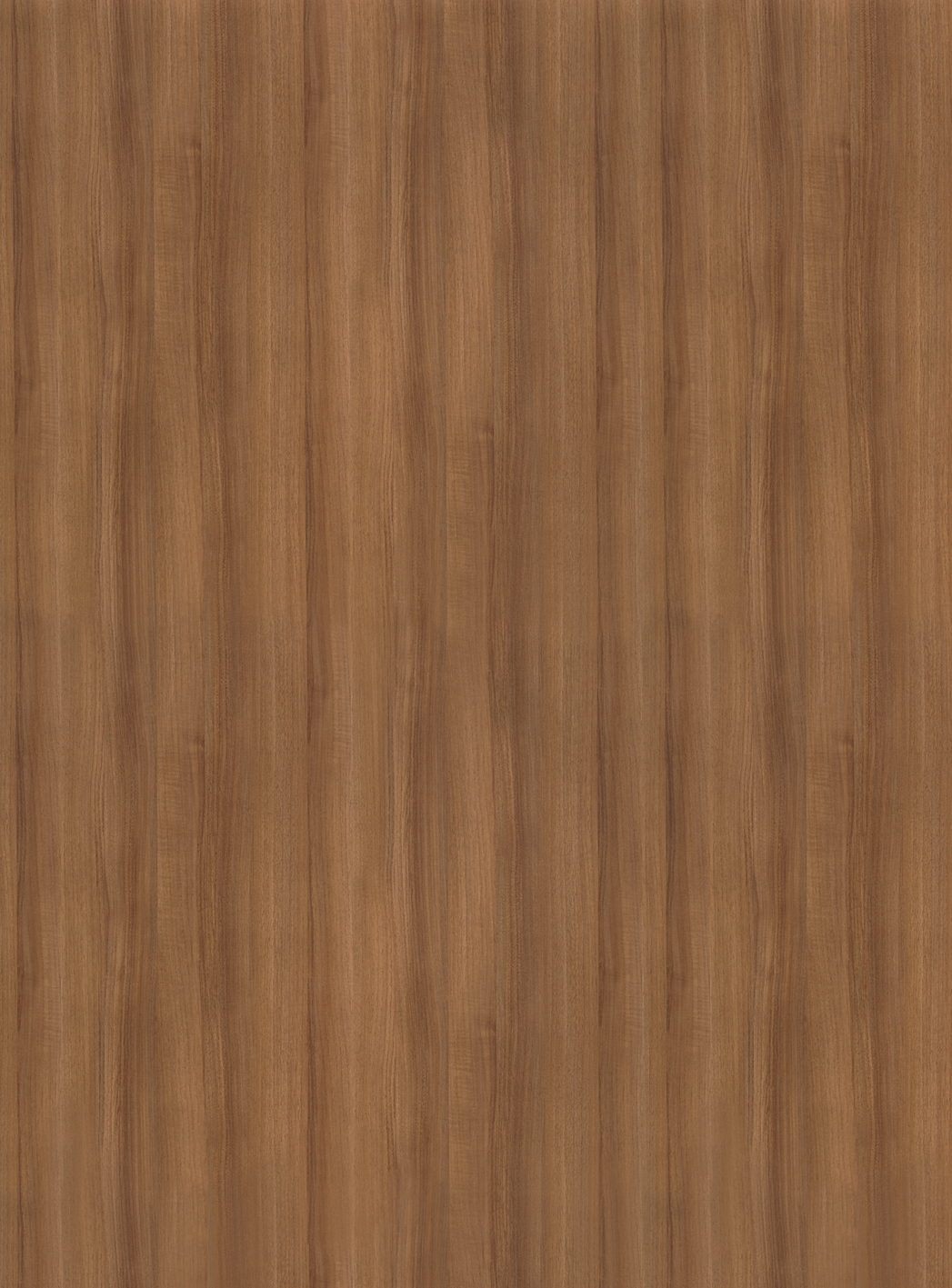 H561 BST Italian Walnut-image