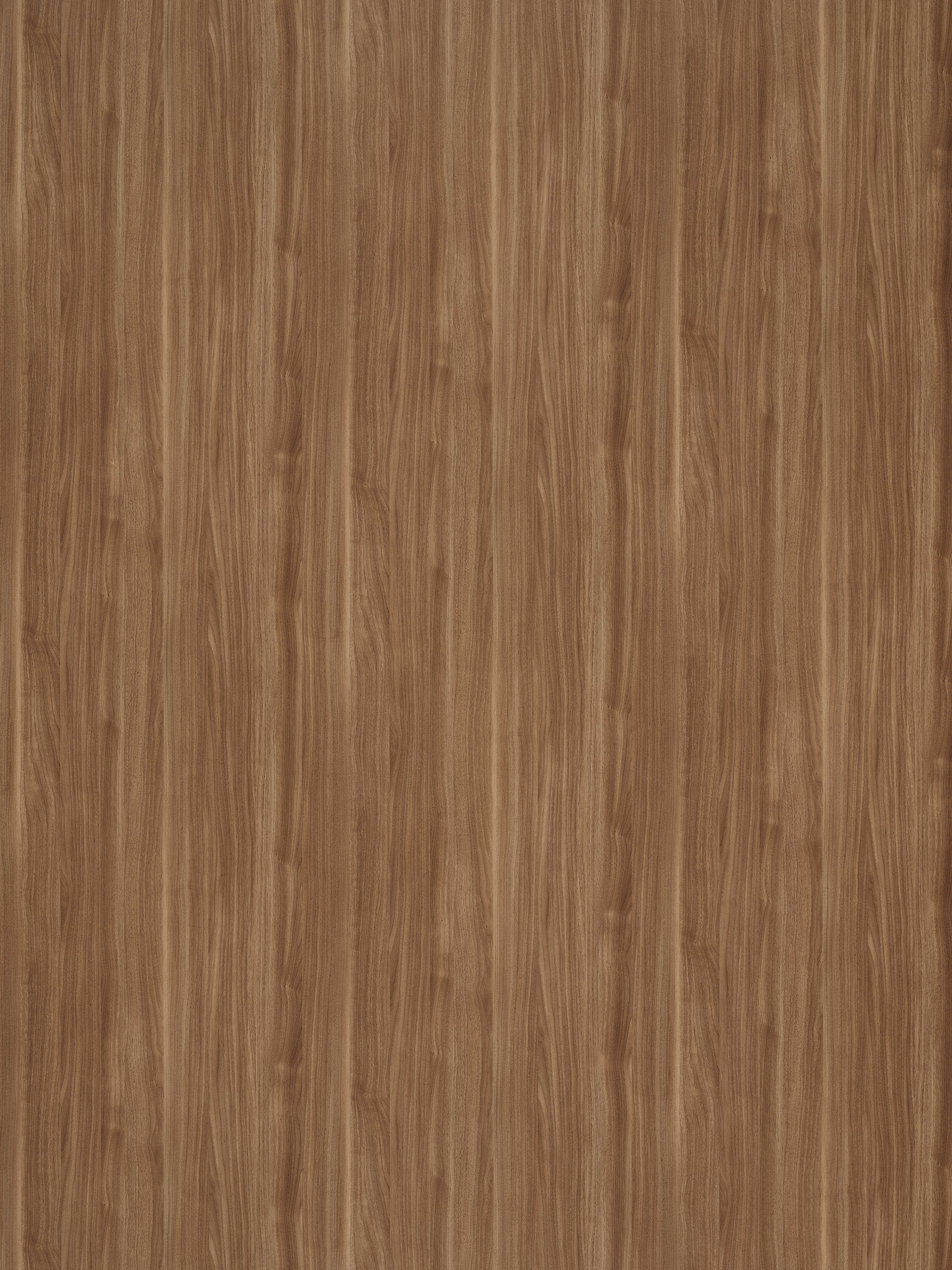 H581 BST Aneto Walnut-image