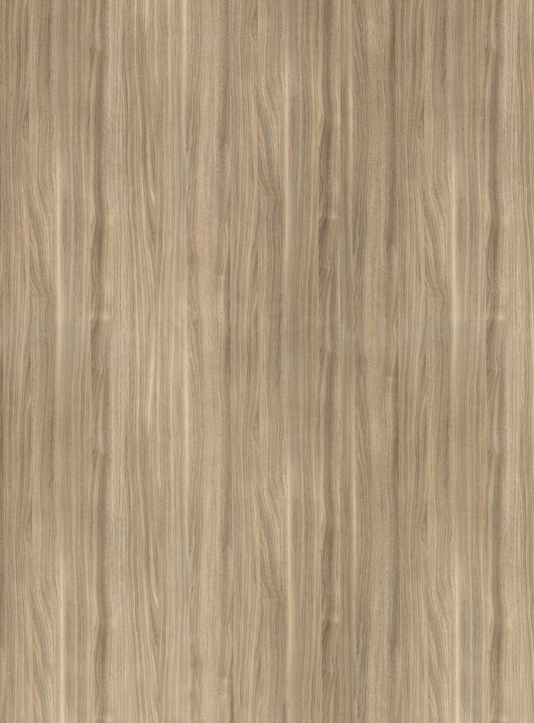 H582 BST Dinara Walnut-image