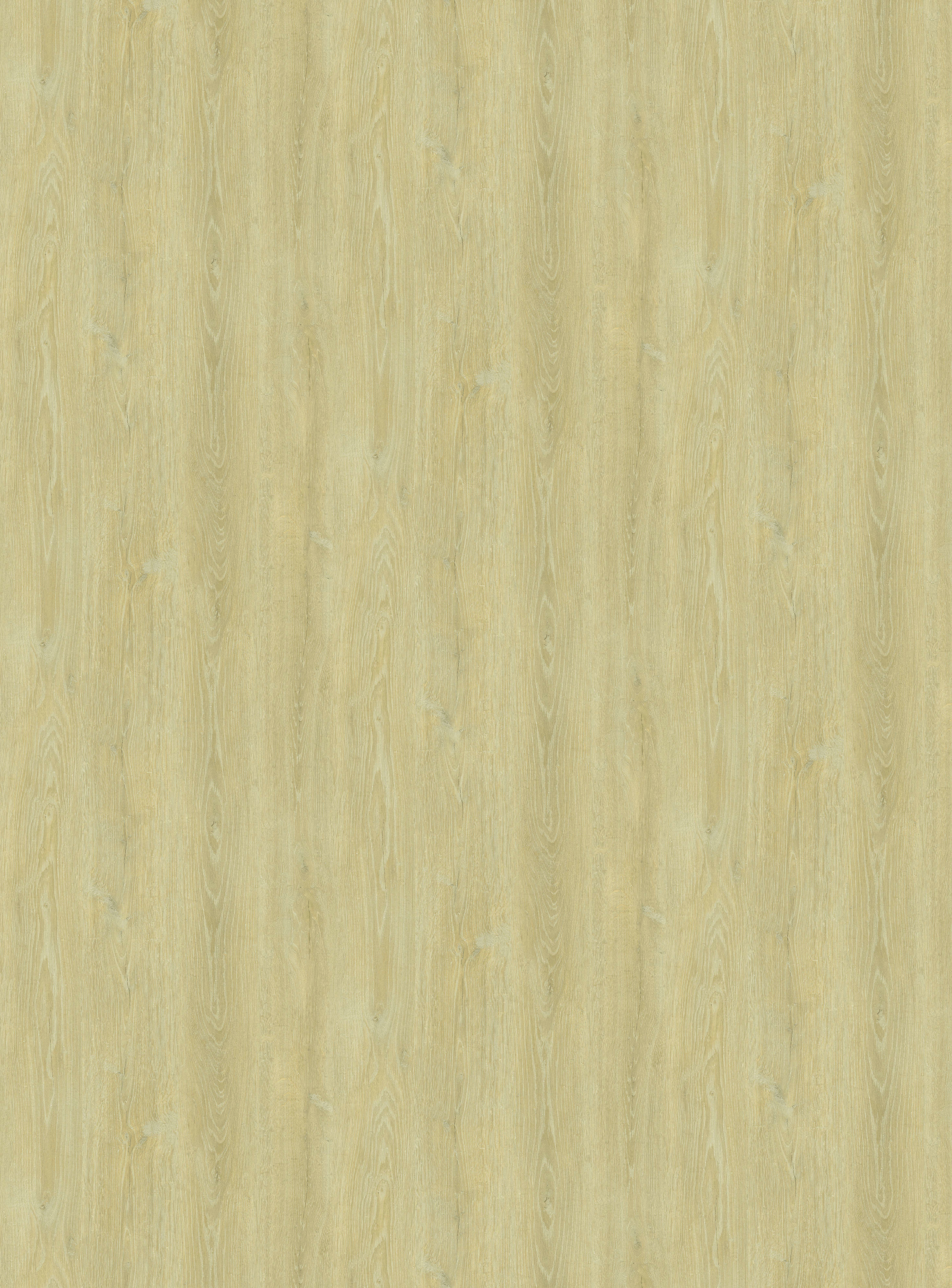 H784 W06 Robinson Oak Light Natural-image