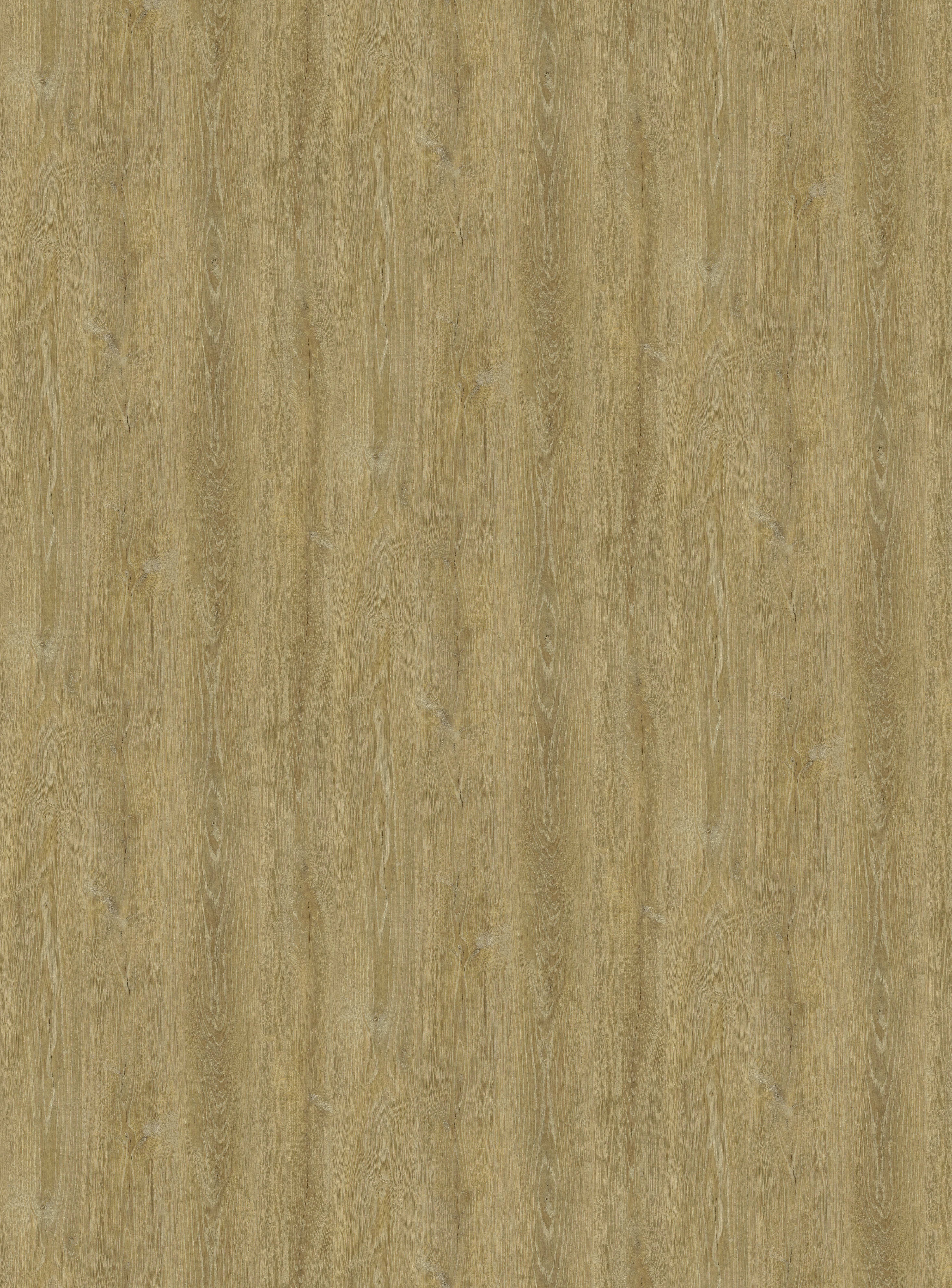 H785 W06 Robinson Oak Beige-image