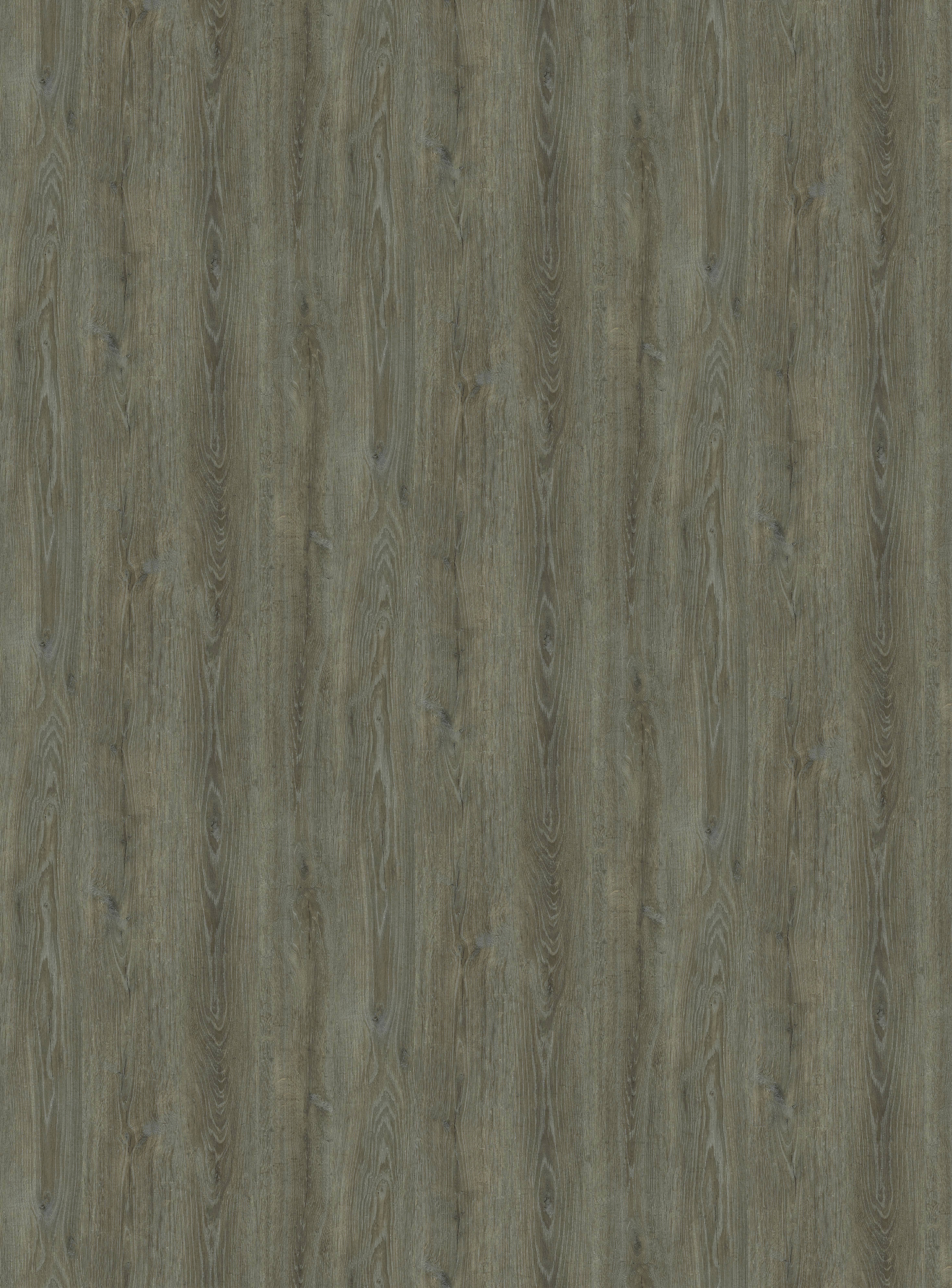 H786 W06 Robinson Oak Brown-image