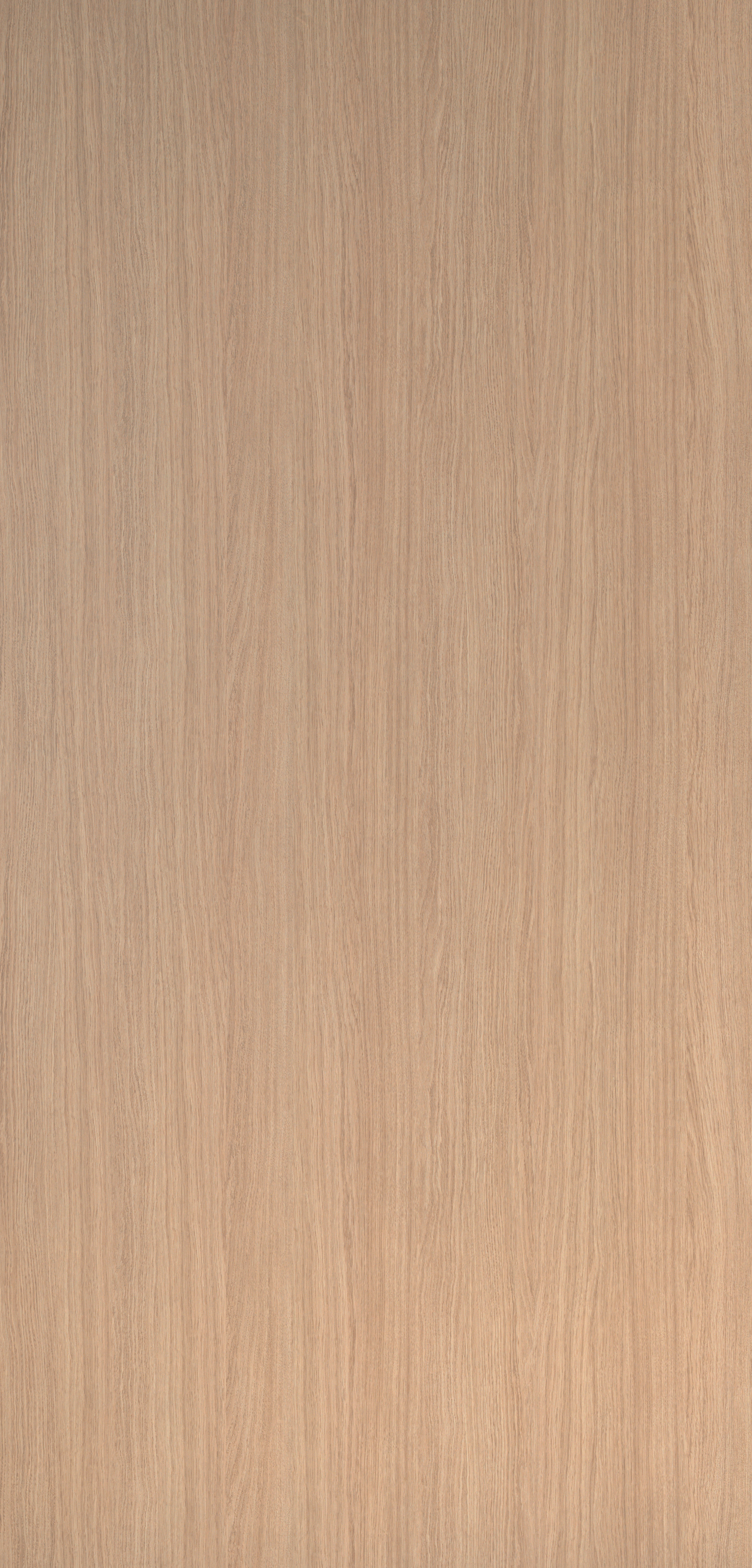 H851 BST Atlas Oak-image