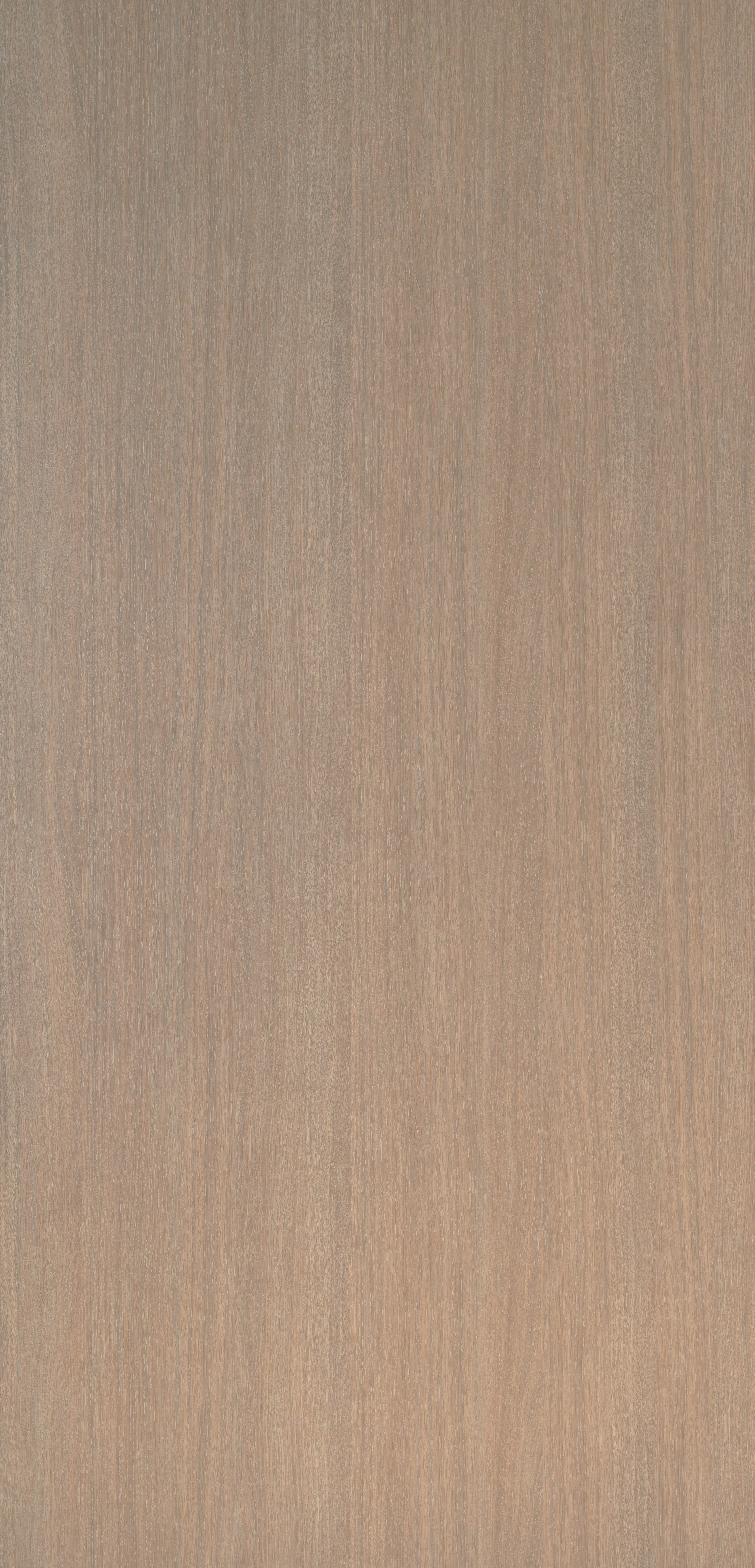 H864 BST Fiji Oak-image