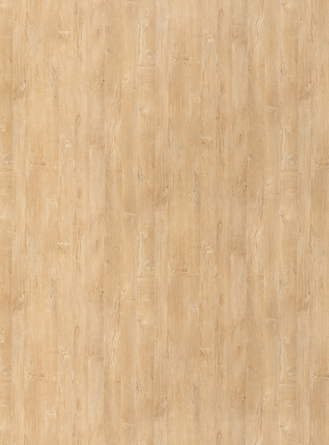 H878 BST Paruma Oak-image