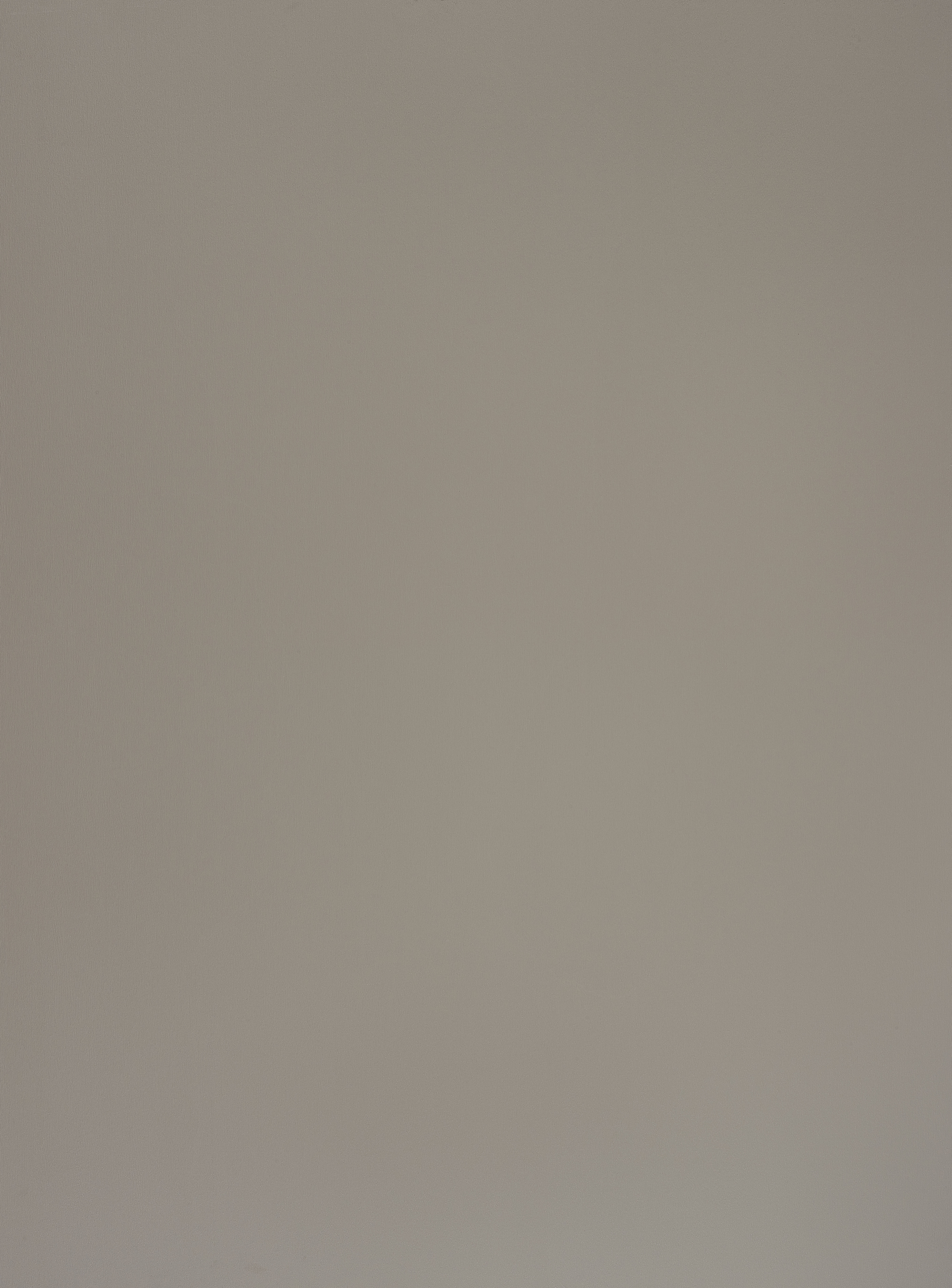 U115 W05 Dark Ecru-image