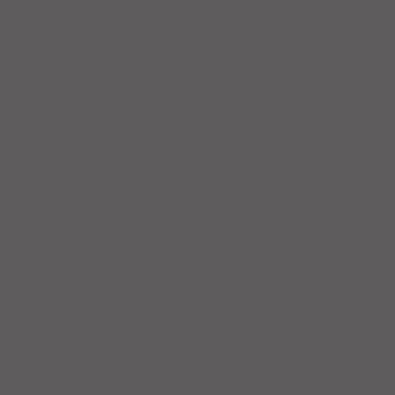 U12290 Antracietgrijs   SM-image