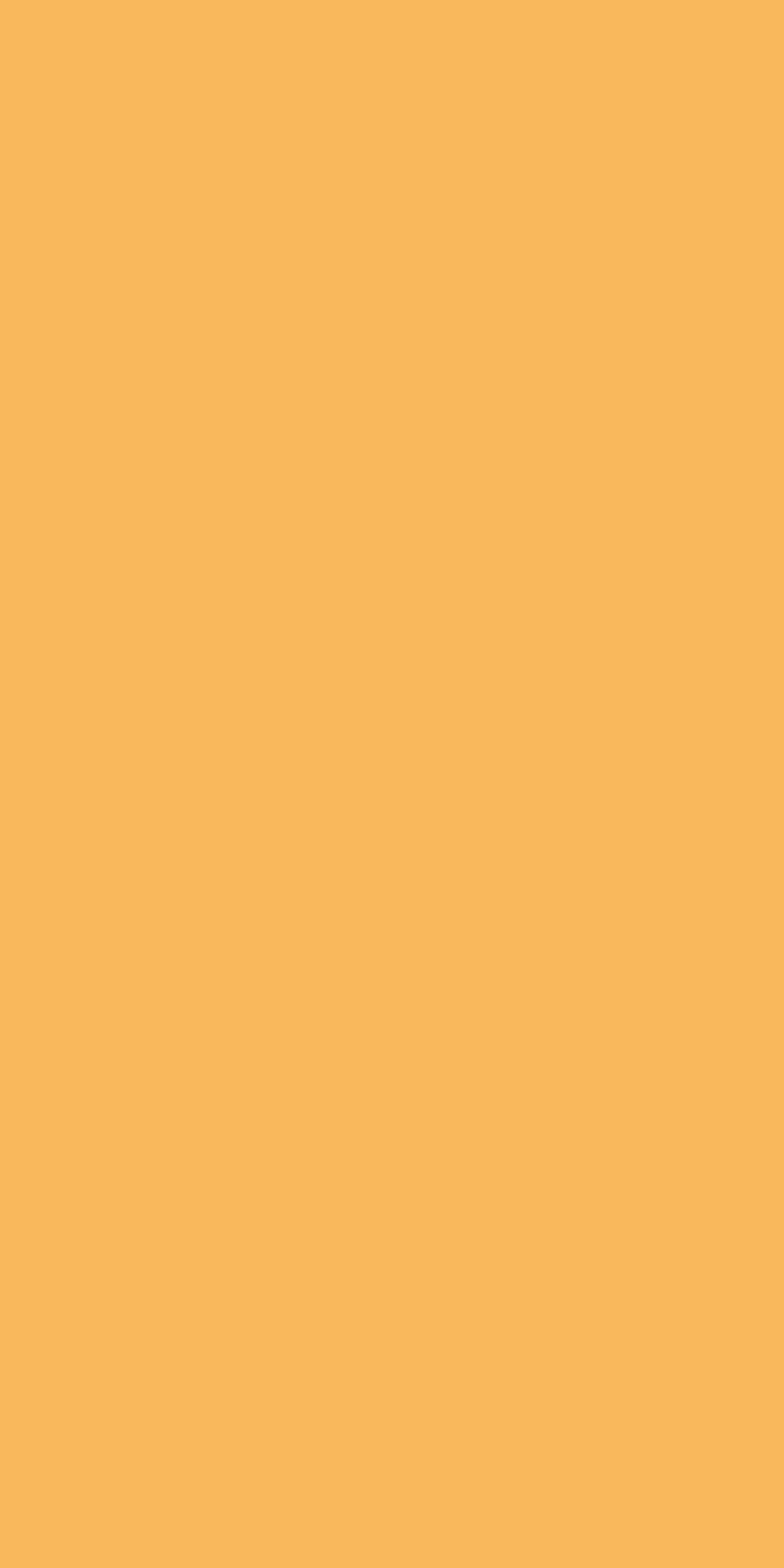 U15246 Mango   MP-image