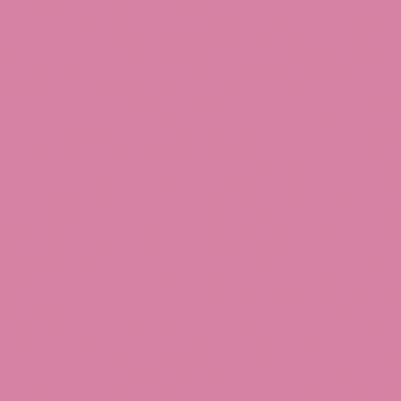 U17014 Hortensia VV-image