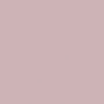 U17501 Rose   VV-image