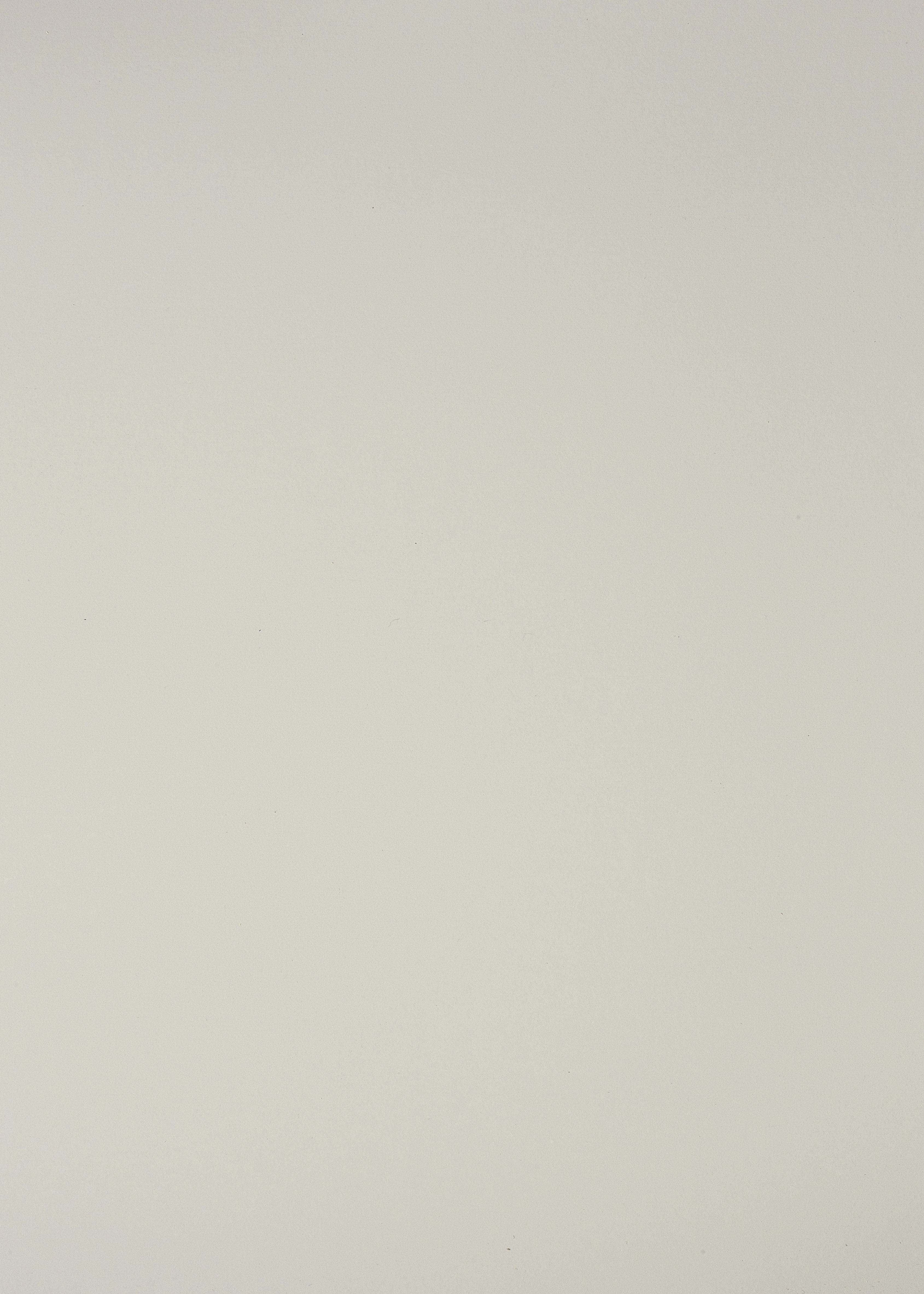 U178 TST Mineral Grey-image