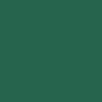 U19002 Ivy   VV-image