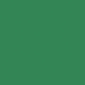 U19005 Jade VV-image