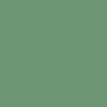 U19007 Agave   VV-image