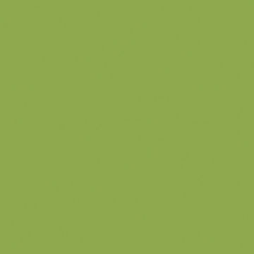 U19501 Granny  Smith VV-image