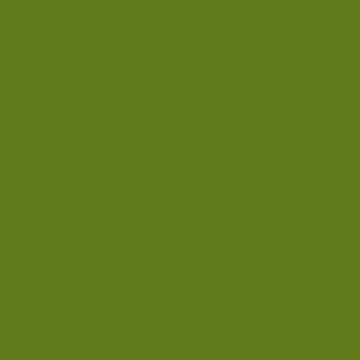 U19502 Limette   VV-image