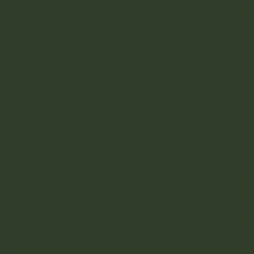 U19504 Zucchini   MP-image