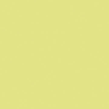 U19505 Citron   VV-image