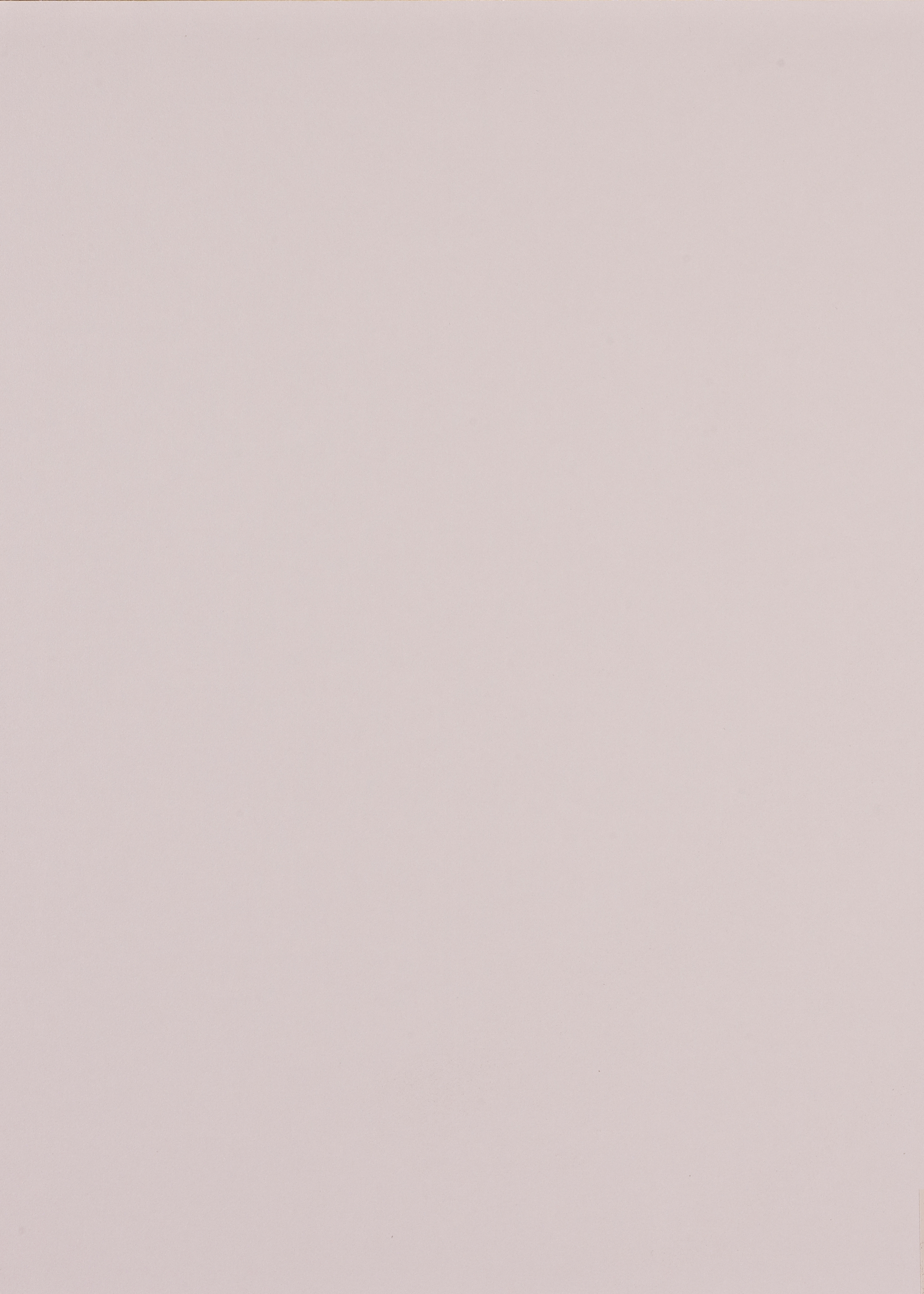 U292 CST Turtle Grey-image