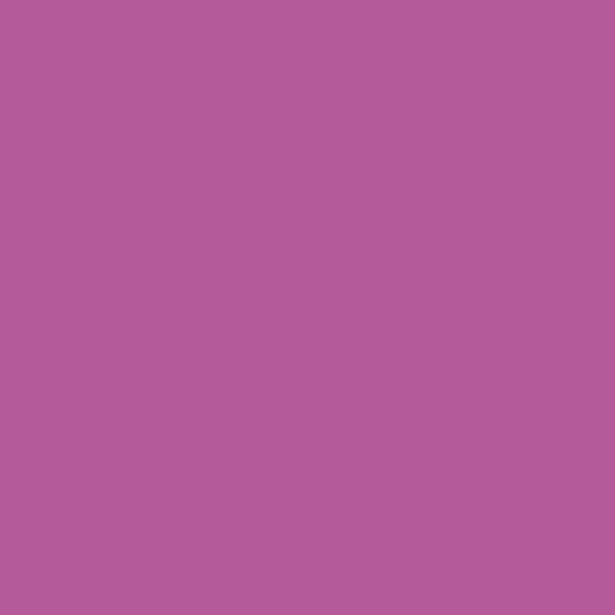 U404 ST9 Krokuspaars (RAL 4008)-image