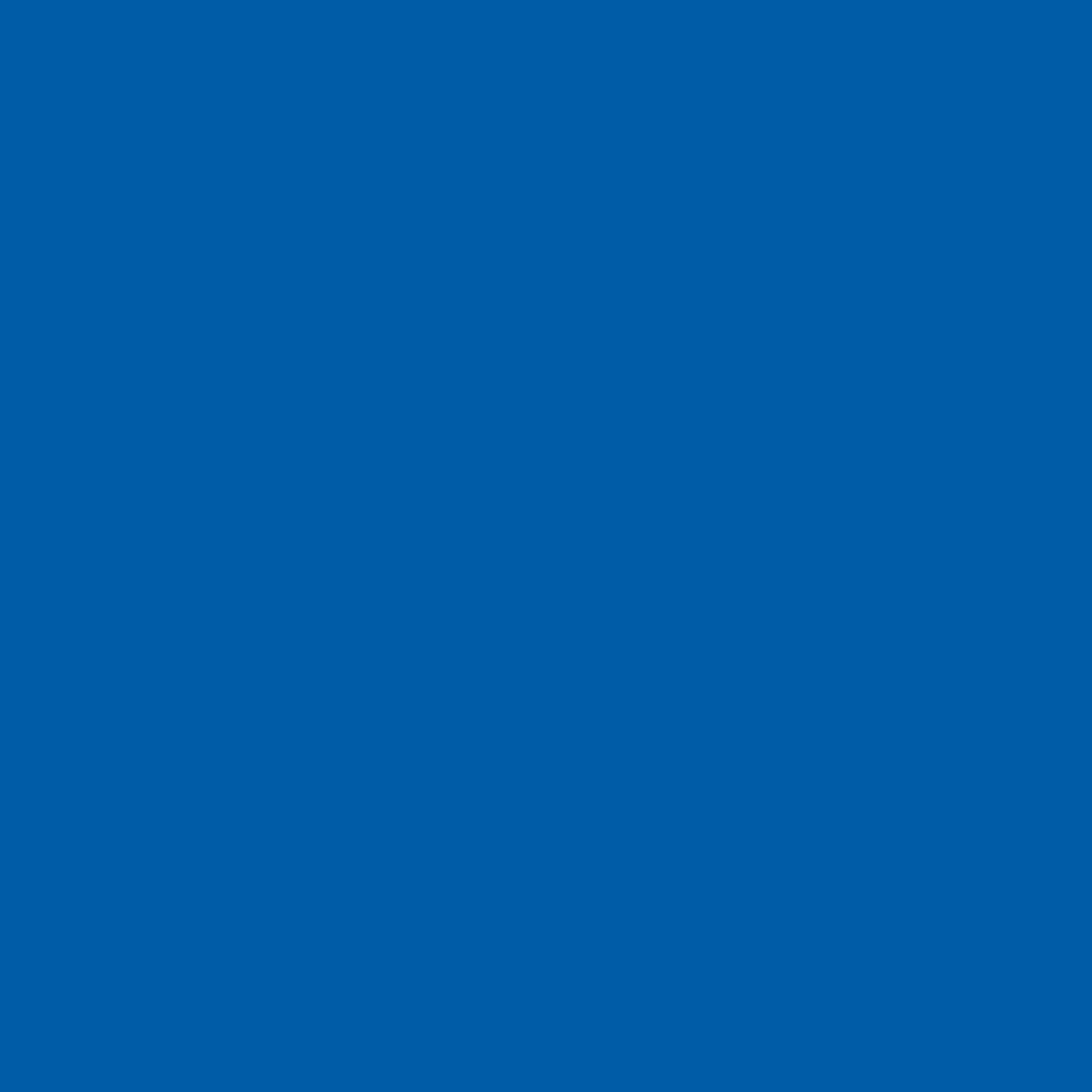 U525 ST9 Delfts Blauw-image