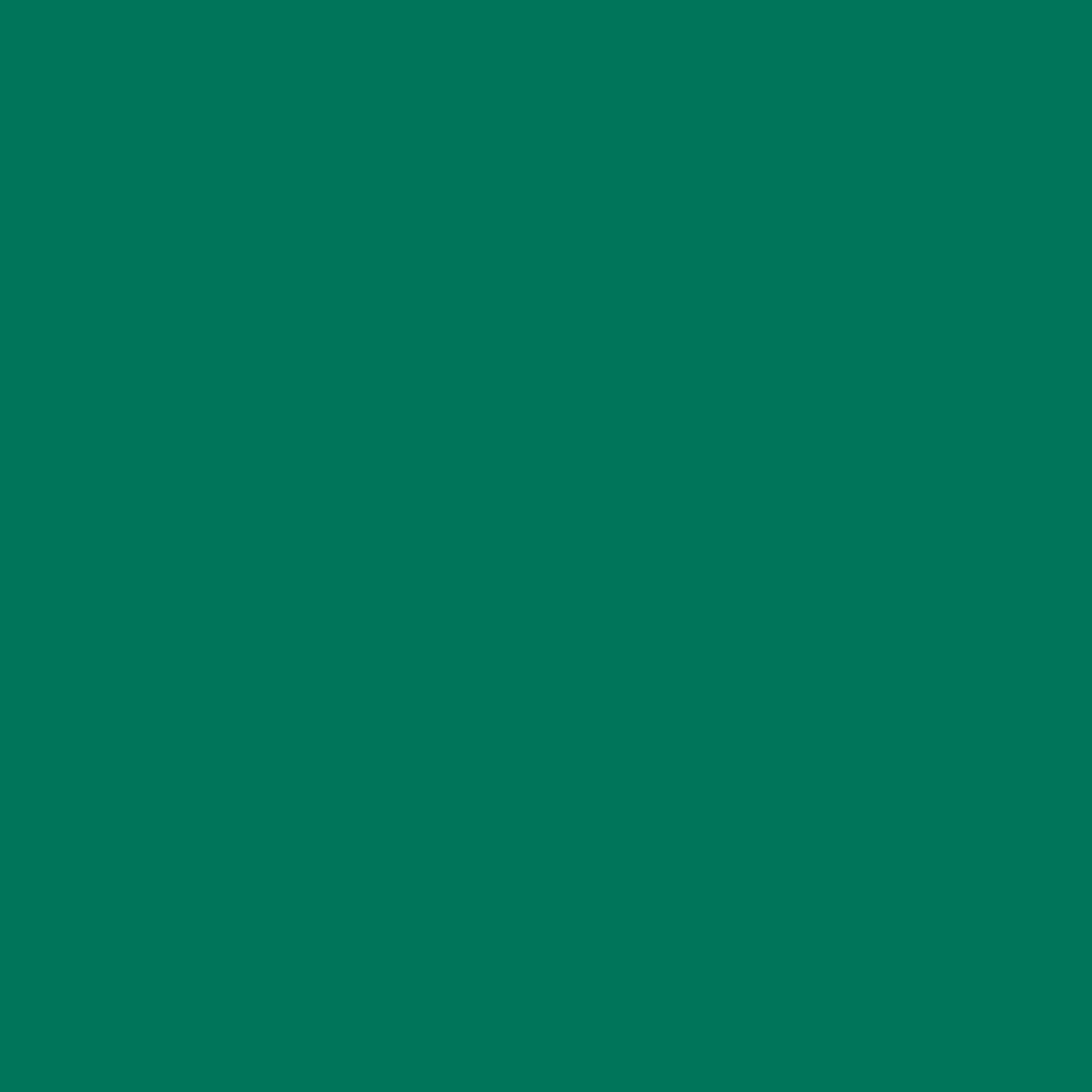U655 ST9 Smaragdgroen-image