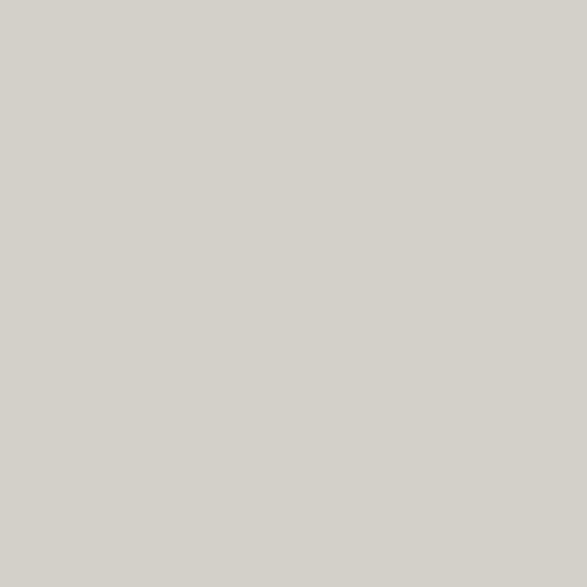 U708 ST9 Lichtgrijs (RAL 7047)-image