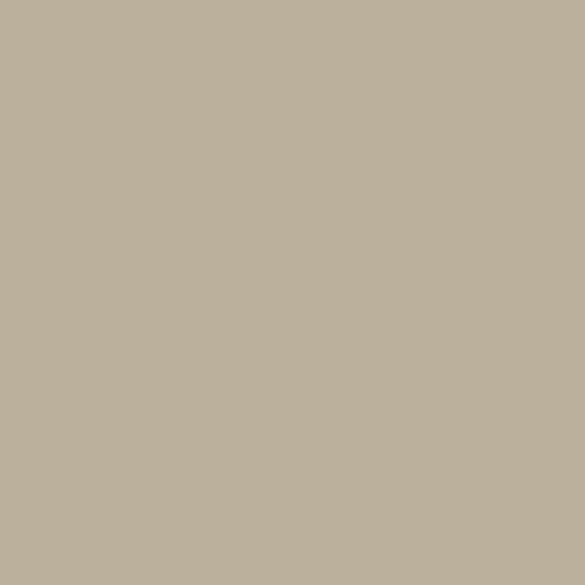U717 ST9 Dakargrijs (RAL 7032)-image