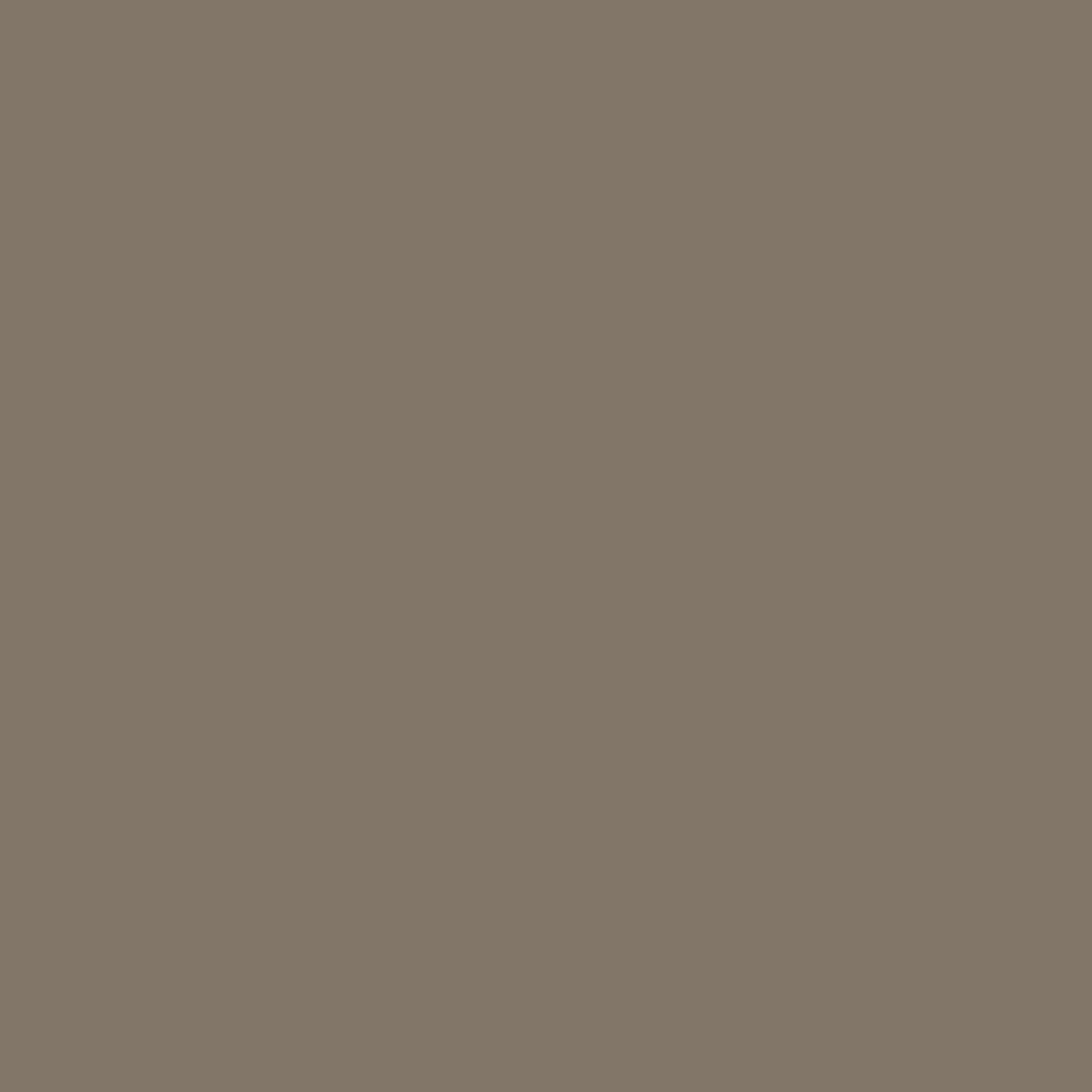 U795 ST9 Fangobruin (RAL 7006)-image